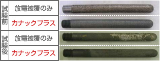 溶損試験片外観