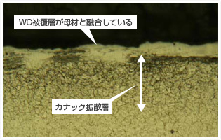 カナックプラス断面写真