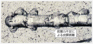 PVD処理のみ